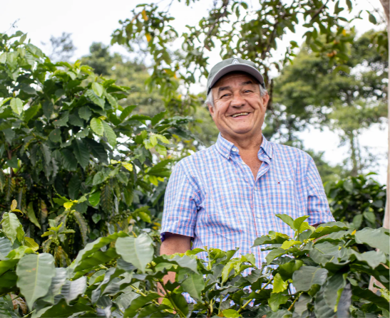 Jairo Arcila - Finca Santa Monica