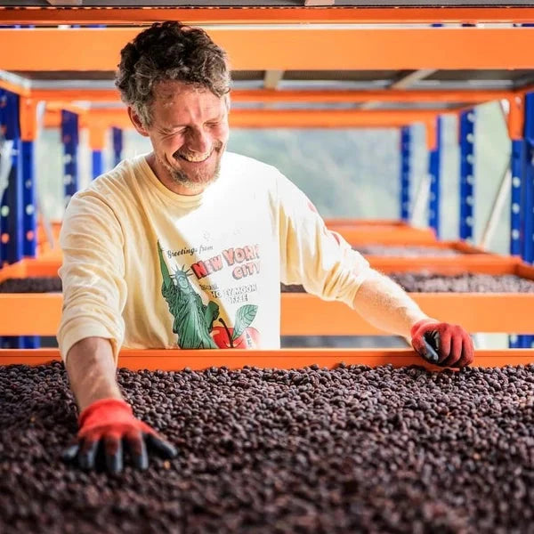 Pepe Jijon - Finca Soledad: Syoxidator Washed